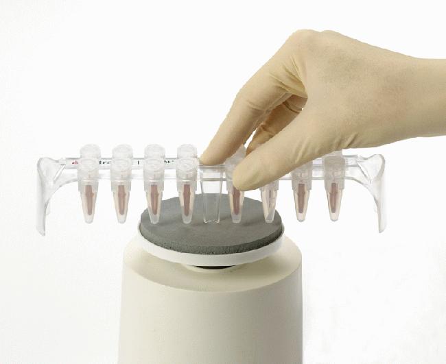 Removable plastic rack for handling and storage of sample tubes