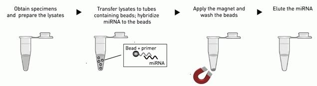 TaqMan® ABC Purification Kit